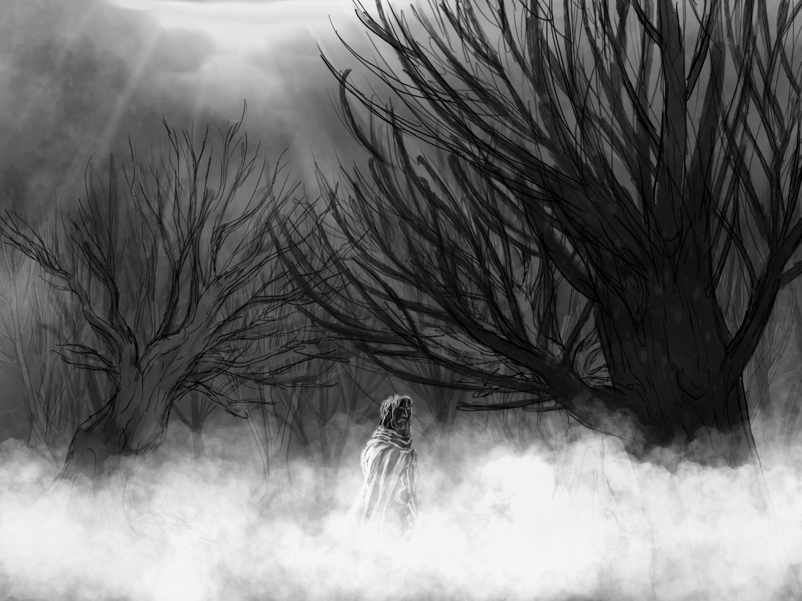 Fog